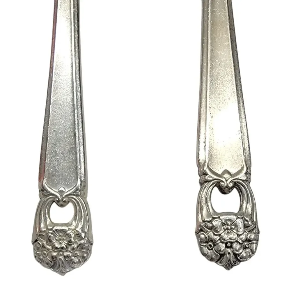 1847 Rogers Bros Eternally Yours Silverplate Teaspoon Flat Butter Knife Set